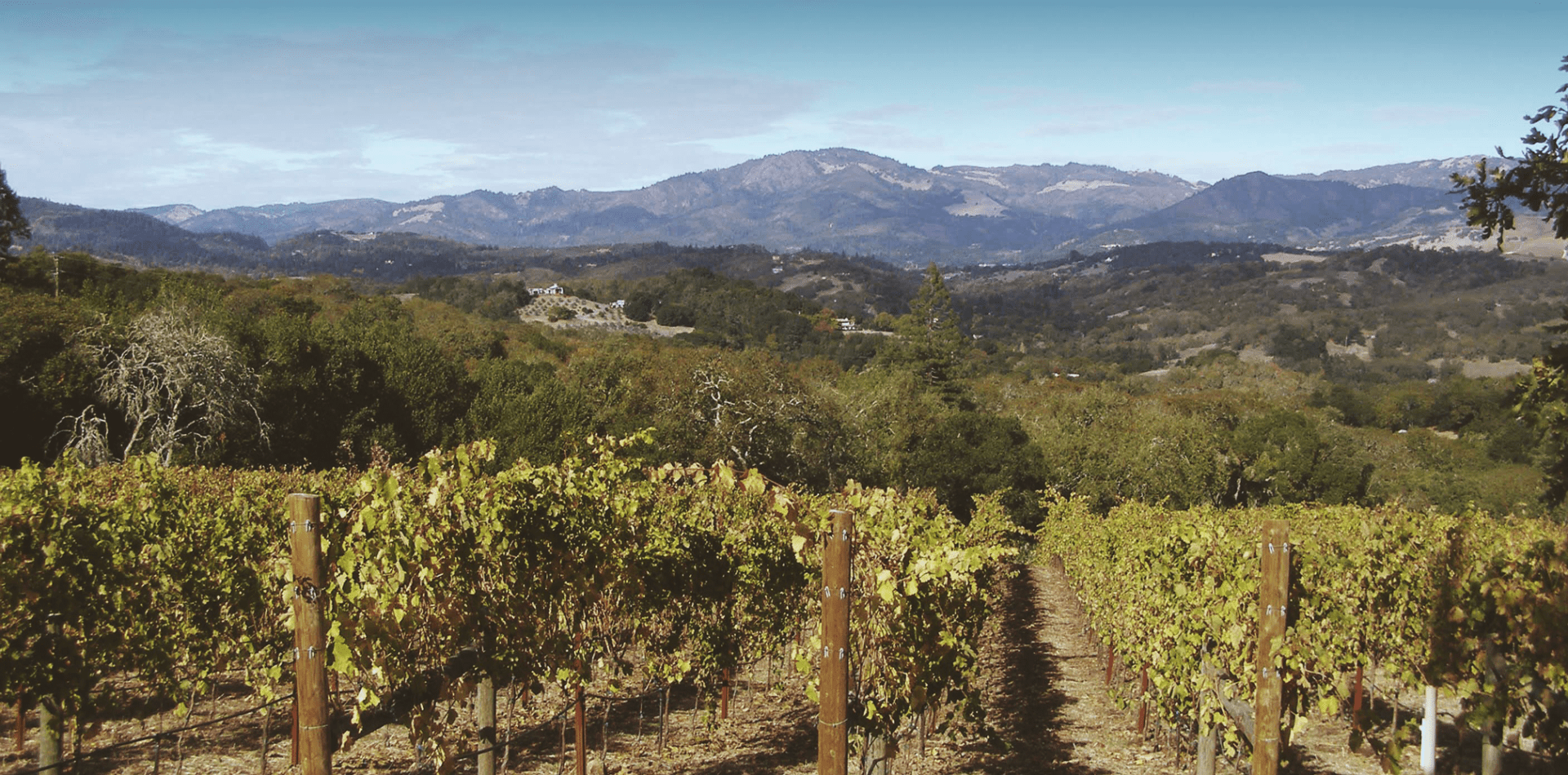 Get to Know the Russian River Valley