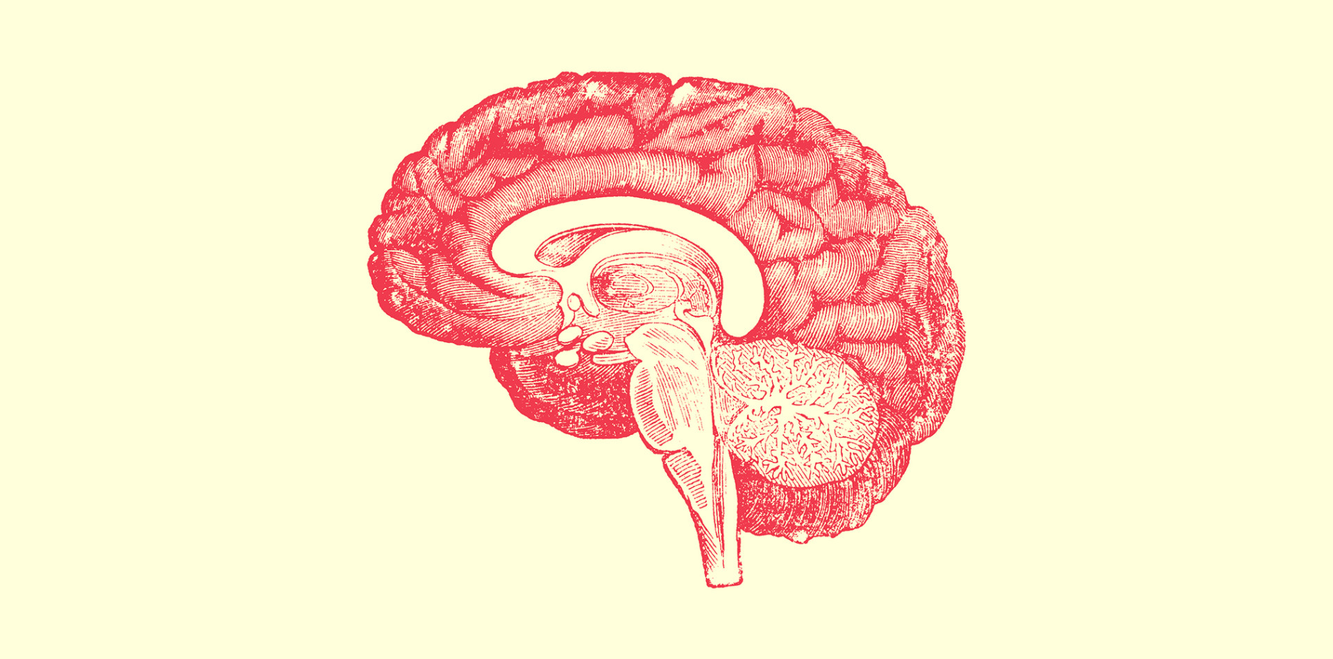 Turns Out, Wine Is Good for Your Brain