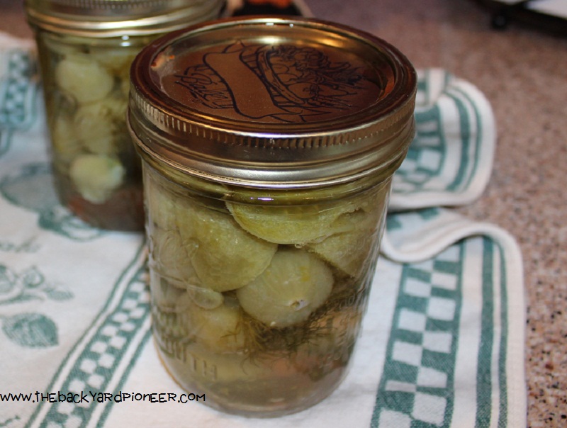 Making Dilled Green Tomatoes, Food Preservation
