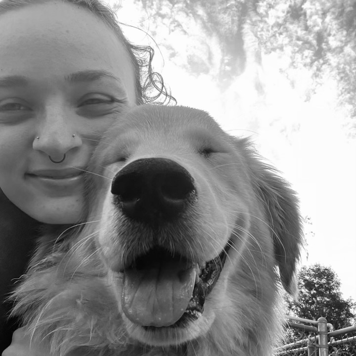 About The Bark Shack Bluffton, SC