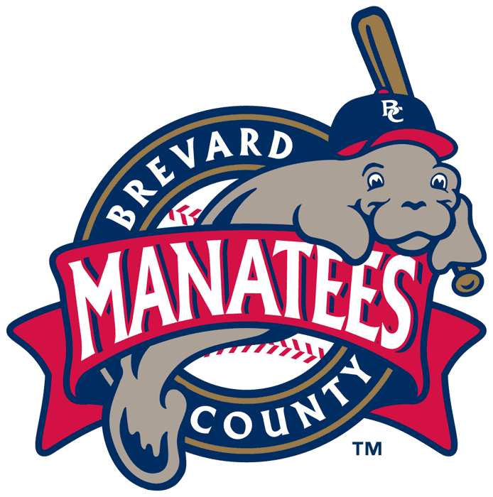 Name Changes in Minor League Baseball 2017 The Baseball Journal