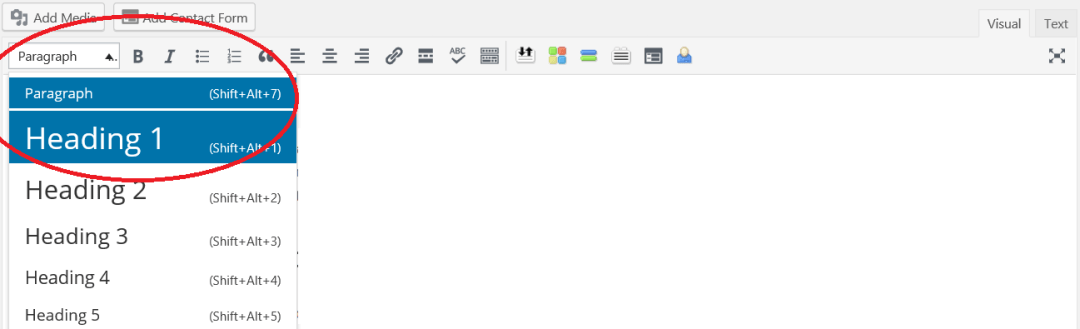 How to add H1 tags to your post to increase SEO findings.