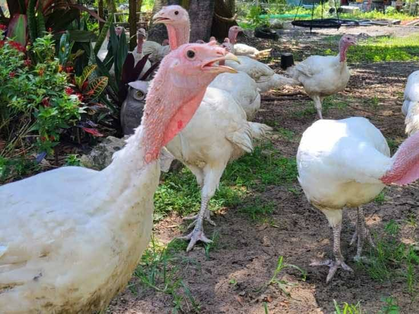 imagejpeg_2 The Baumgartner Company