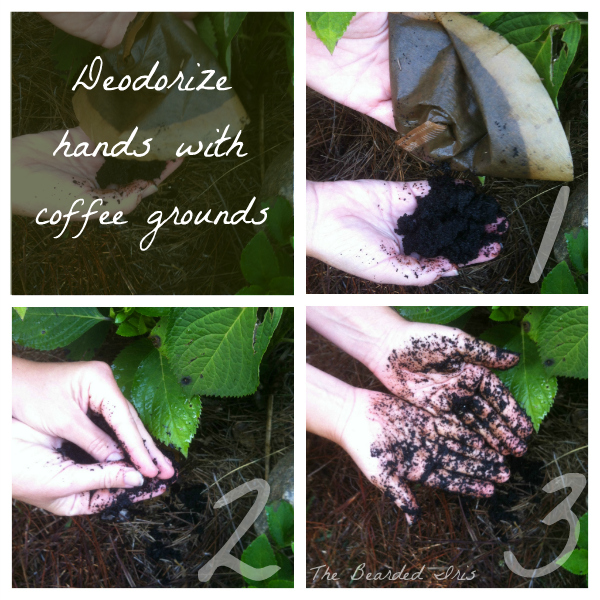 Just the Tip Tuesday How to Deodorize Stinky Hands » The Bearded Iris