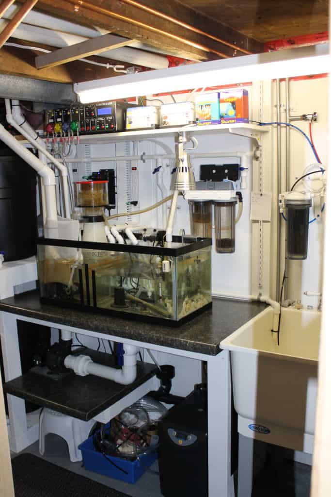 Aquarium Chillers This Guide Will Help You Pick! The Beginners Reef