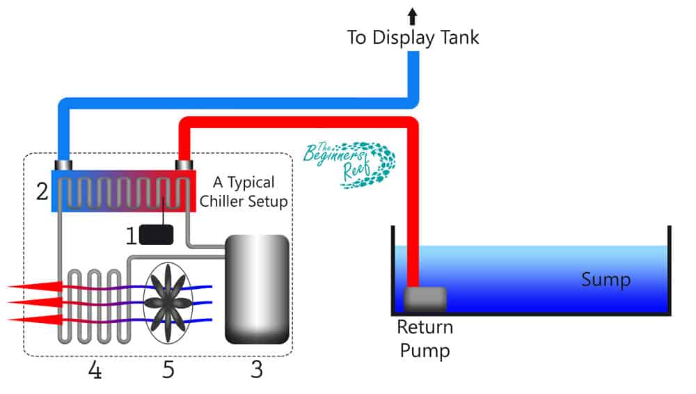 What Is An Aquarium Chiller? The Beginners Reef