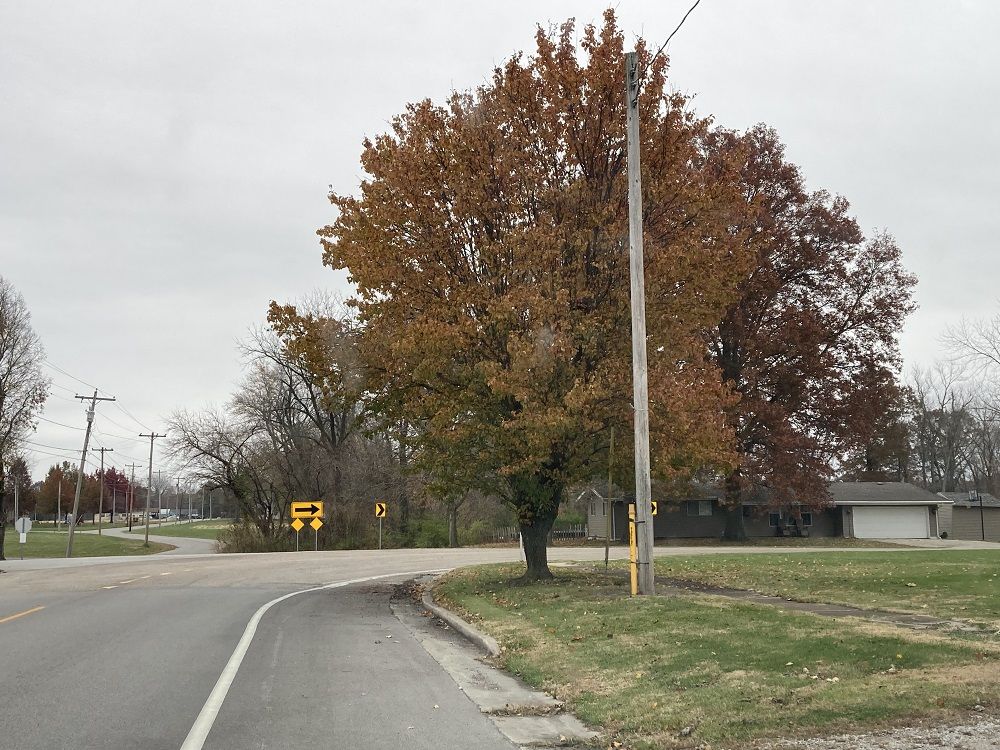 Benld Council debate focuses on trees