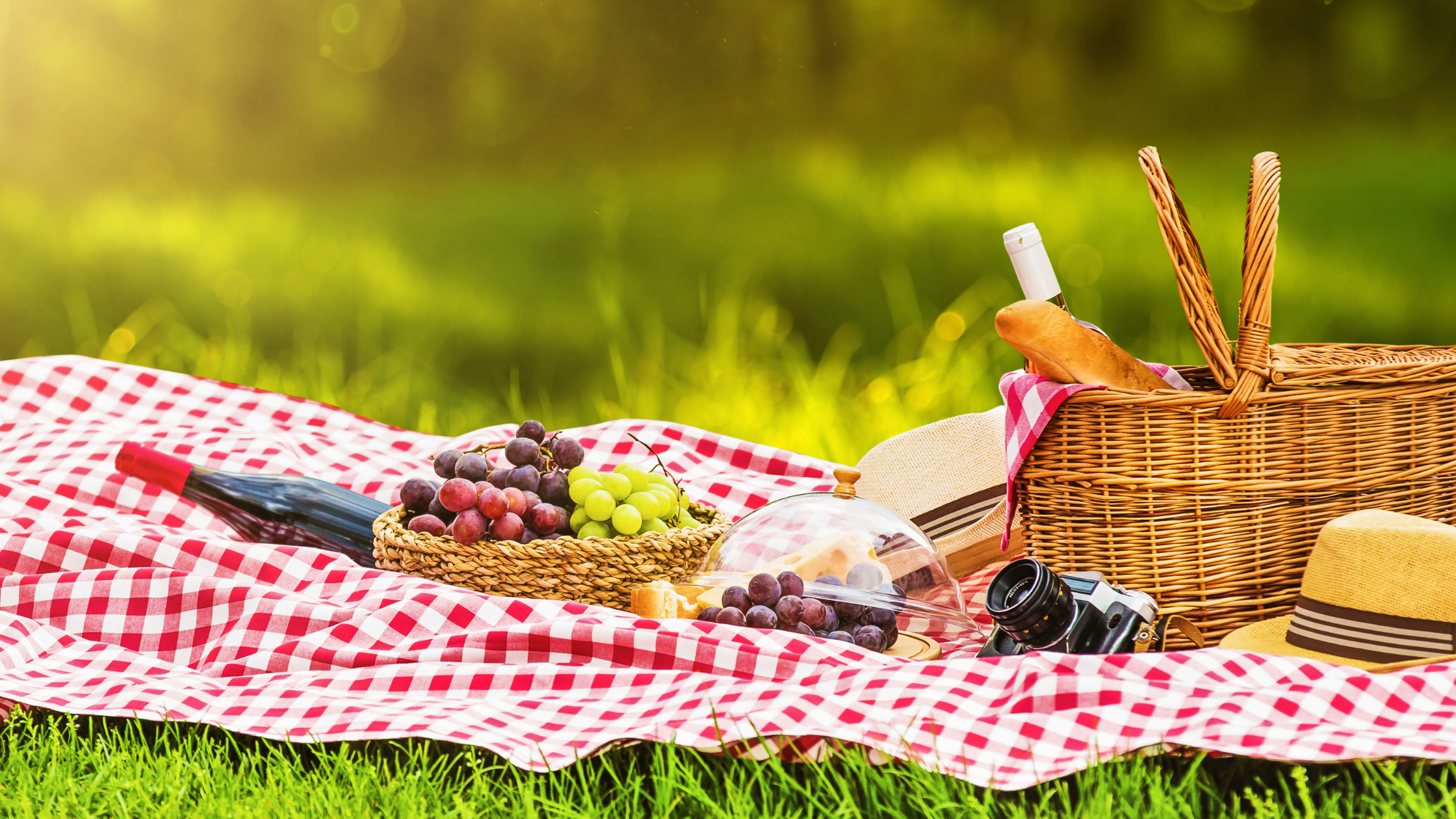 The Great British Picnic The Bespoke Black Book