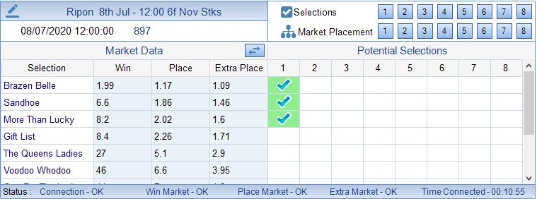 How Do I Place Multiple Selections in the Same Race as Single Bets
