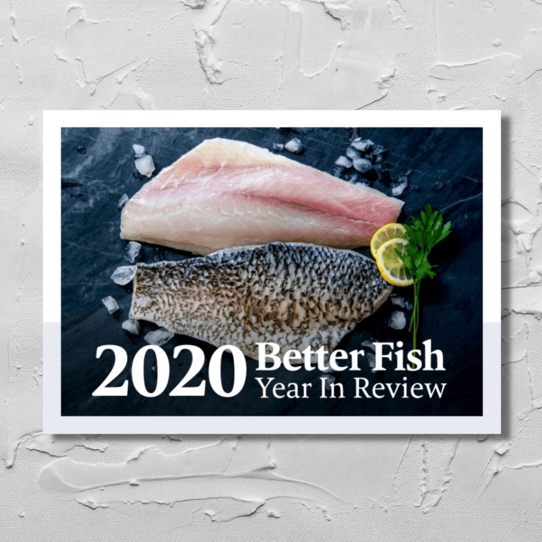 How to Safely Increase the Shelf Life of Fish  Australis Barramundi