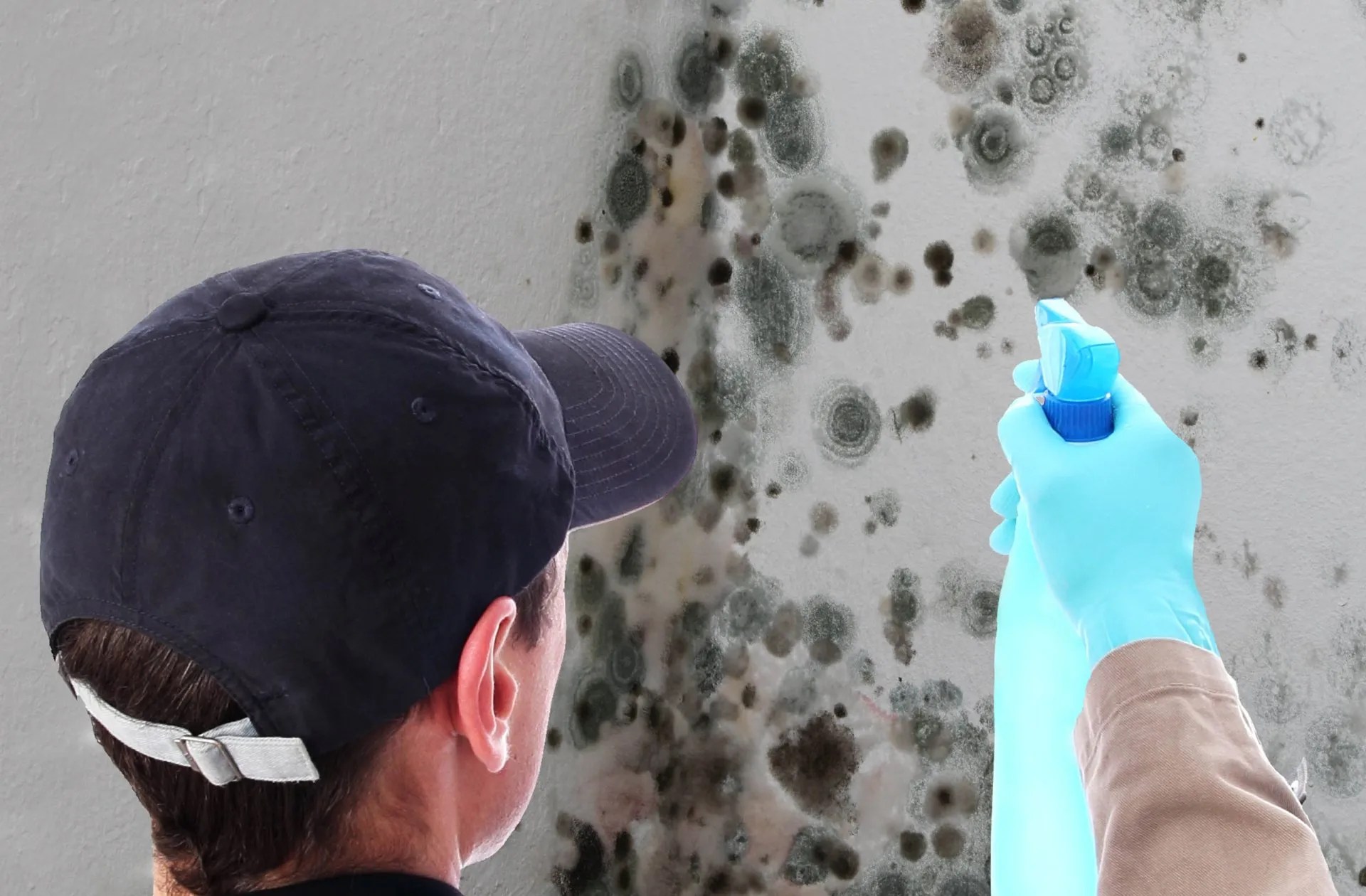 The Importance of Regular Mould Fogging Treatment Sydney