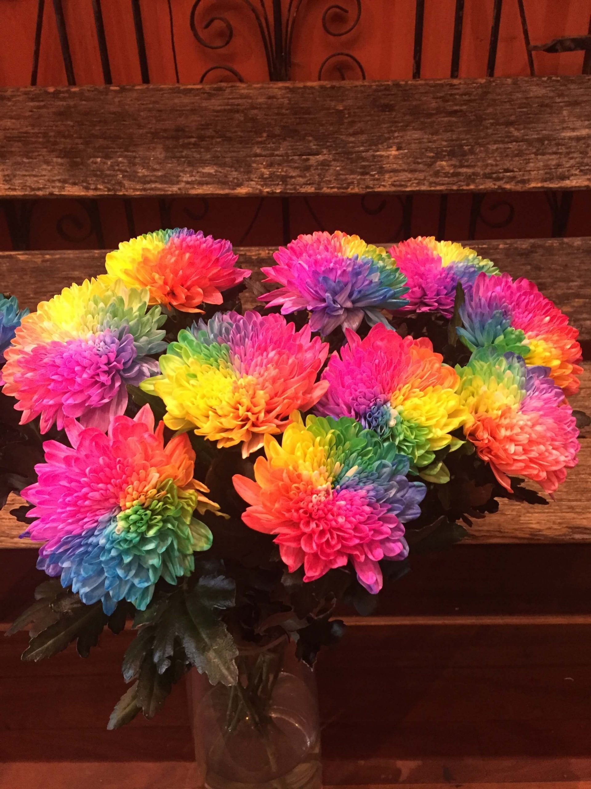Rainbow Chrysanthemum Buy Online The Big Bunch