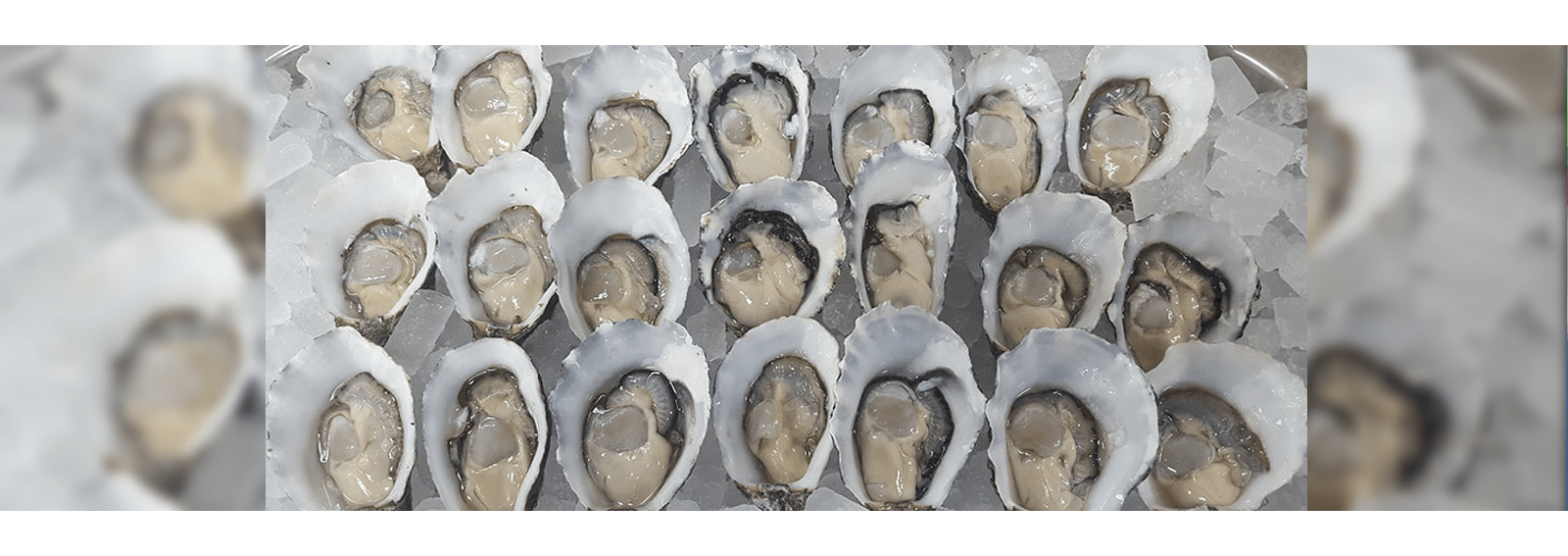 Buy fresh fish daily at The Big Fish, Fish Market in Melbourne Fresh