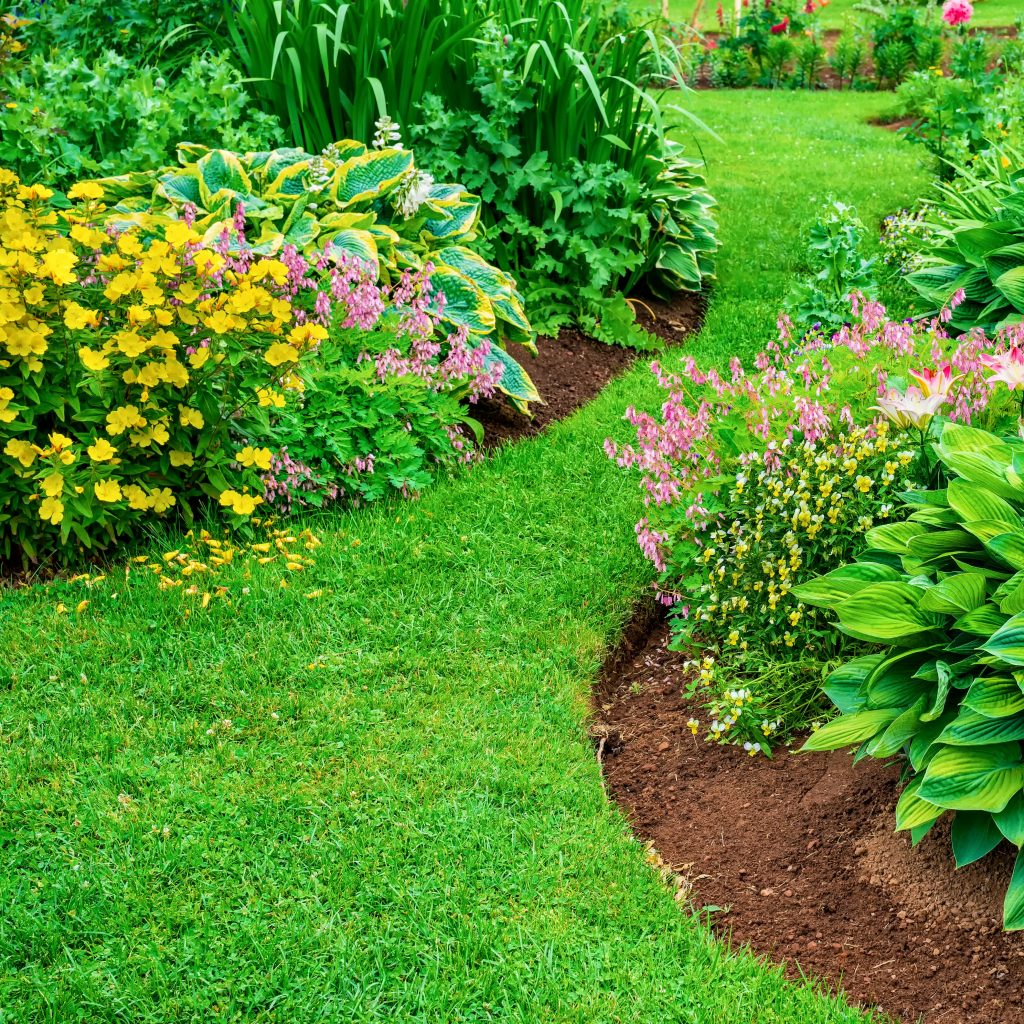 Planting a border The Big Plant Nursery