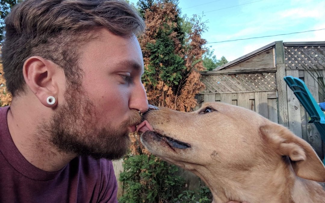 Is It Safe To Let A Dog Lick You