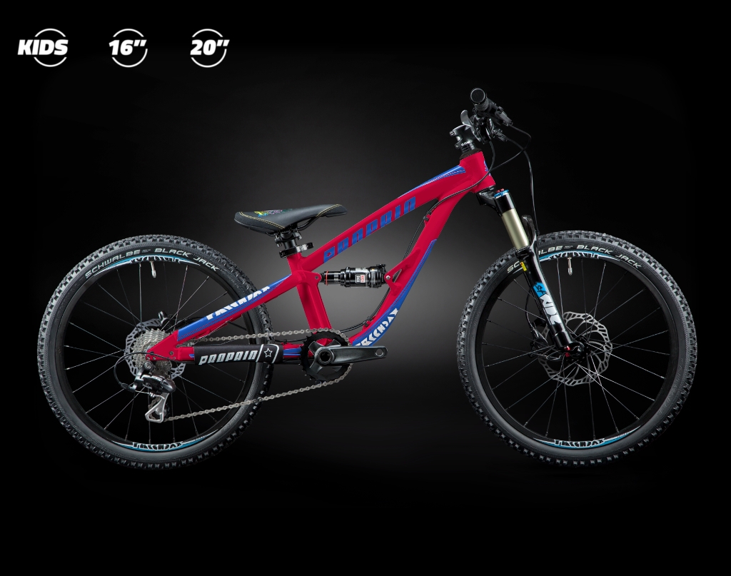 16" Full Suspension Bikes The Bike Dads