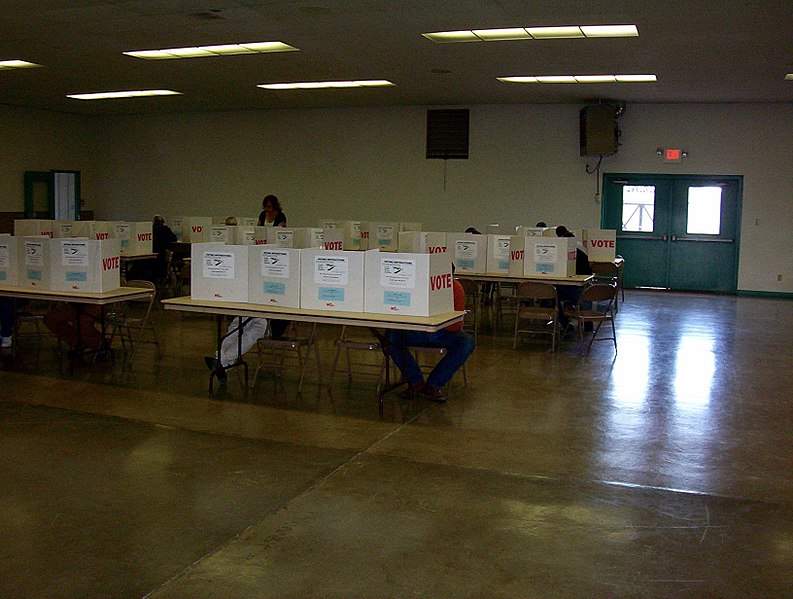 Dr. Fauci: ‘I Hope’ Voters Will Be Able to Physically Go to the Polls in November
