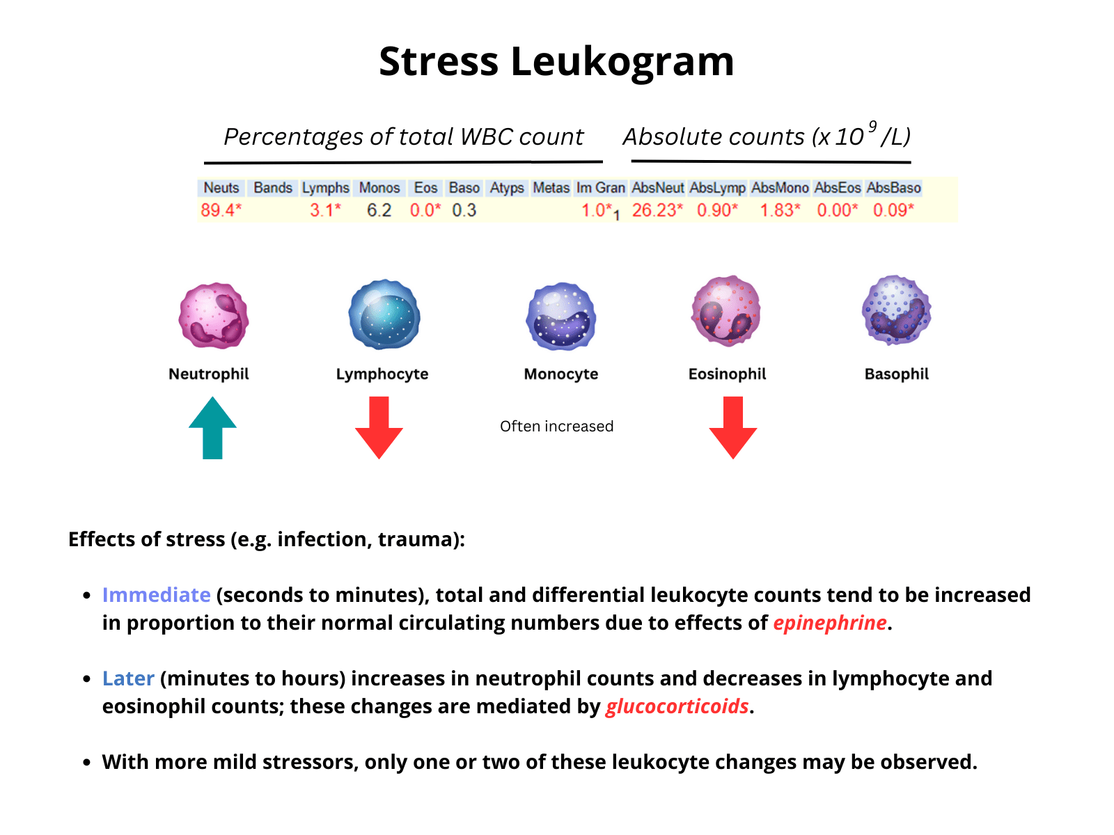 Stress Leukogram • The Blood Project