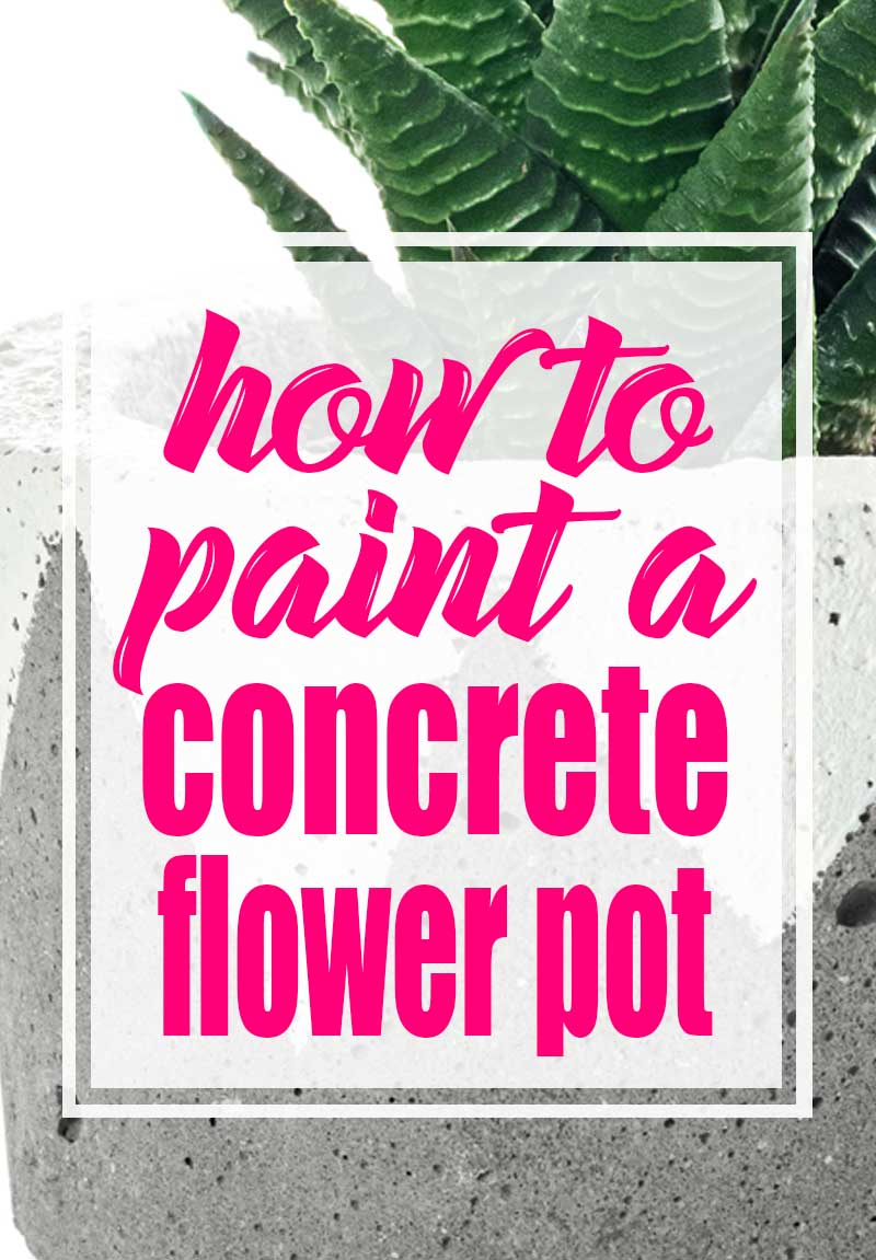 Learn How to Paint Concrete Planters The Bold Abode