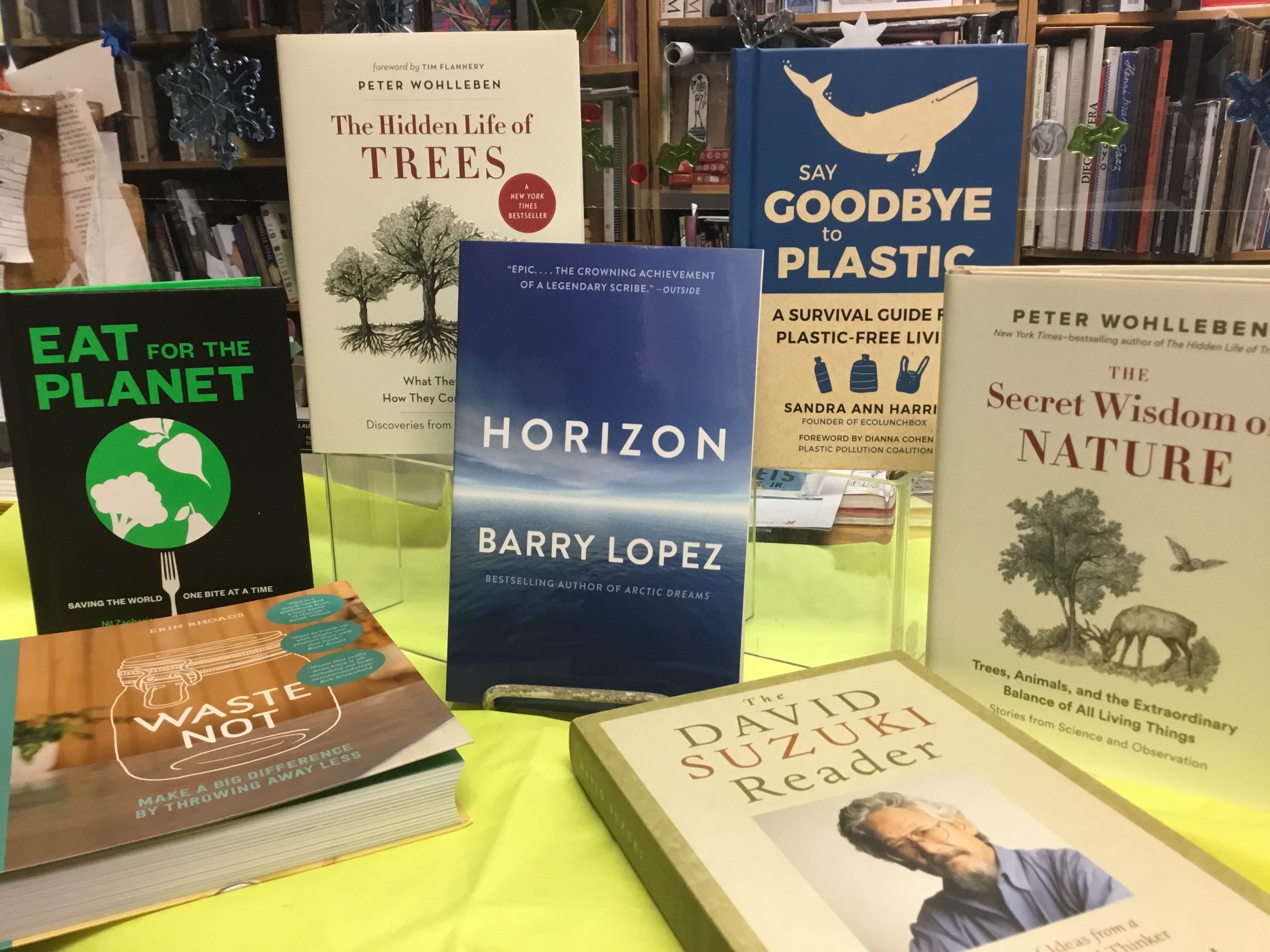 The Backroom Calm the Chaos