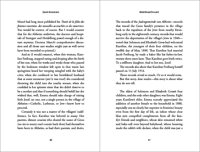 Book Design Case Study Short Stories by Erika Dreifus