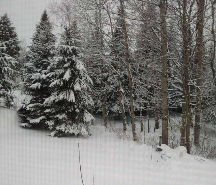 The Book Trail Three Pines Quebec Louise Penny and Gamache... The