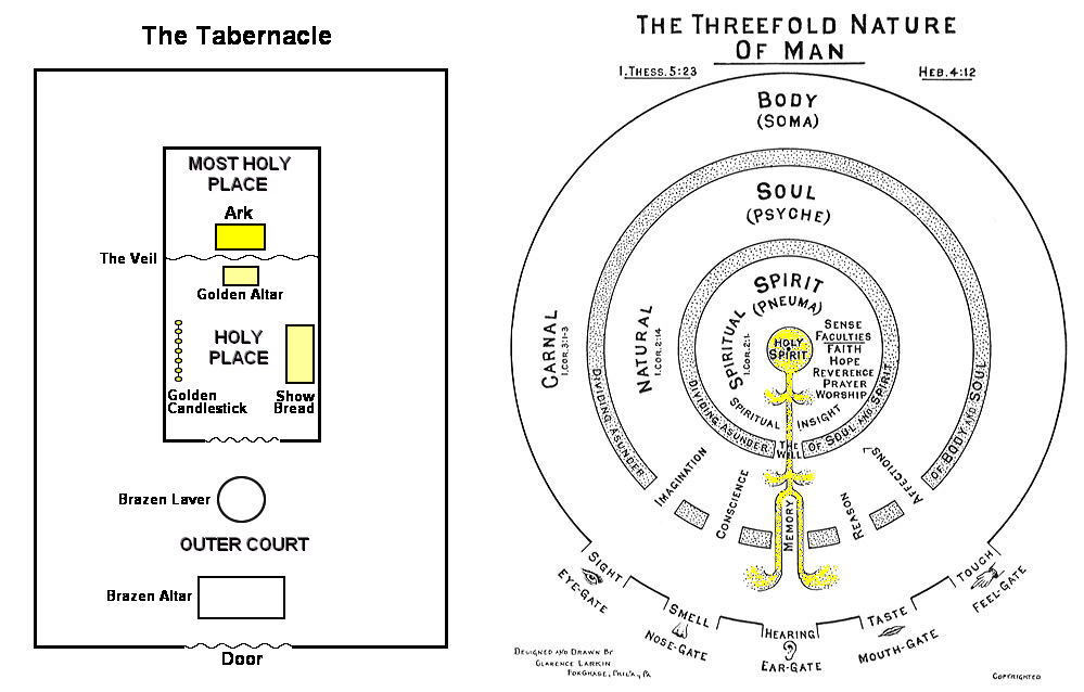 Understanding the Bible 4 Bible Themes Man (Further Study)