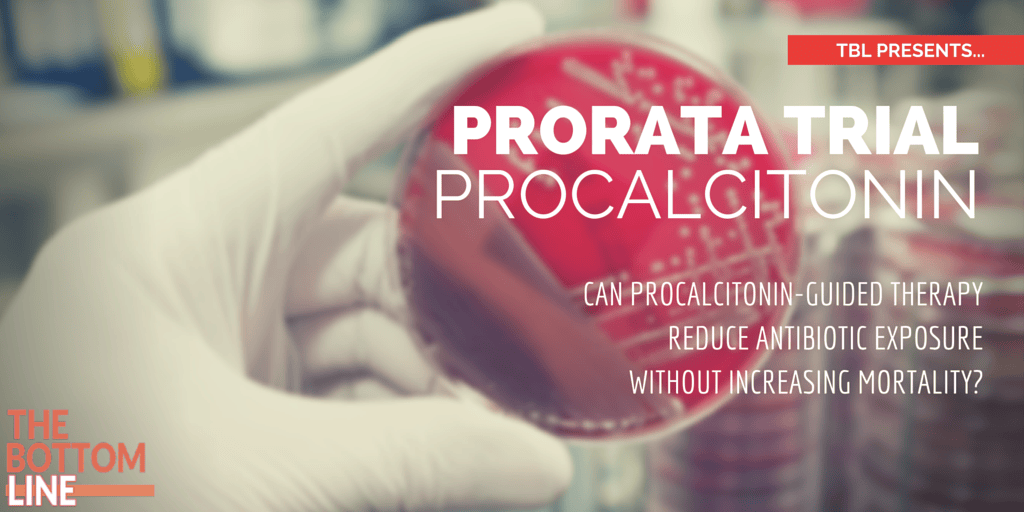 Prorata The Bottom Line