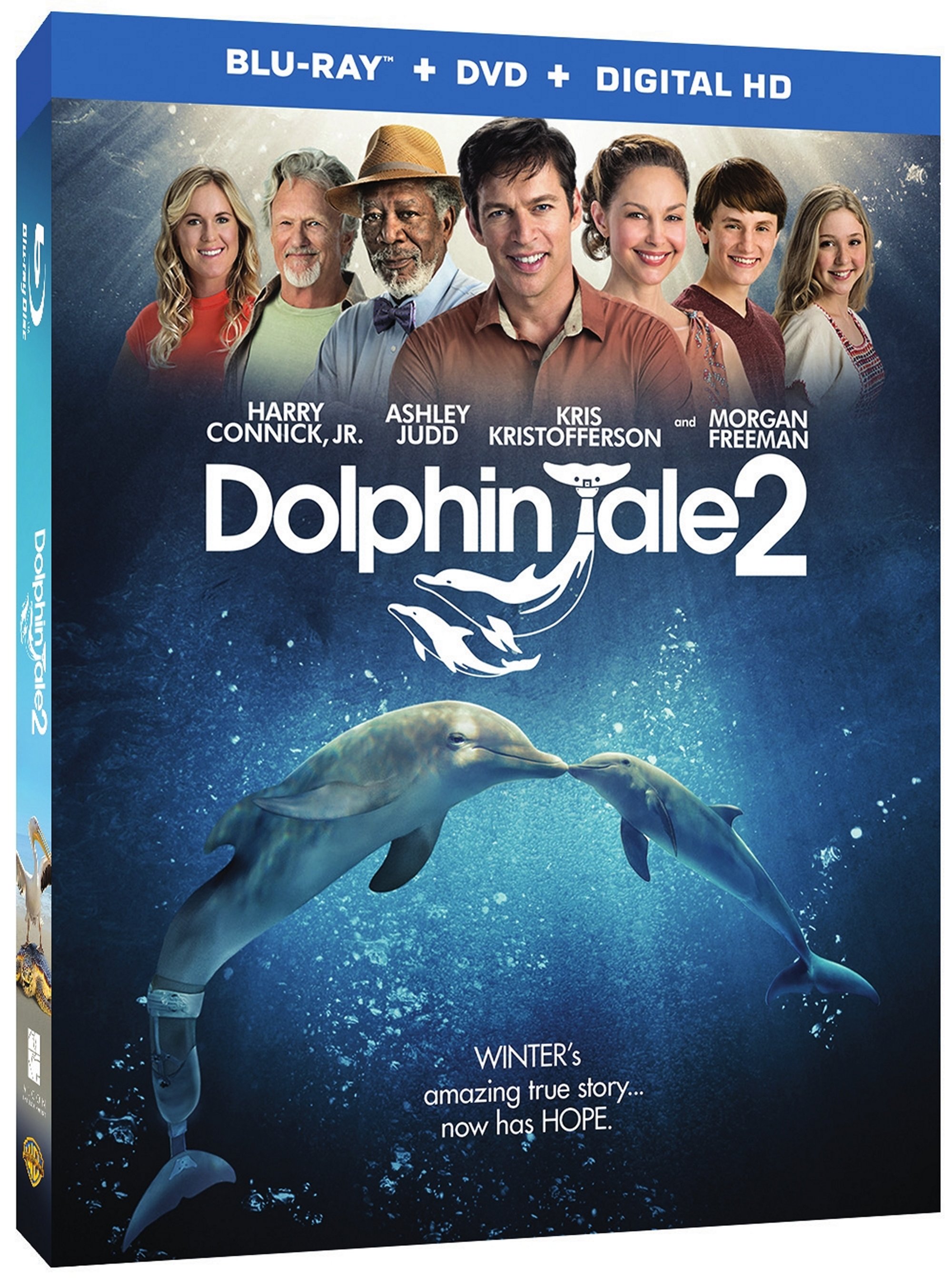 {BragWorthy Christmas} Dolphin Tale 2 now available!