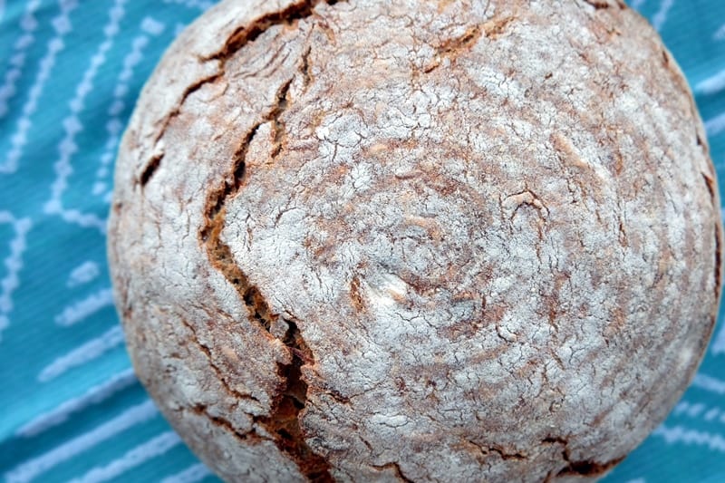 Malt bread recipe (using malt syrup) The Bread She Bakes