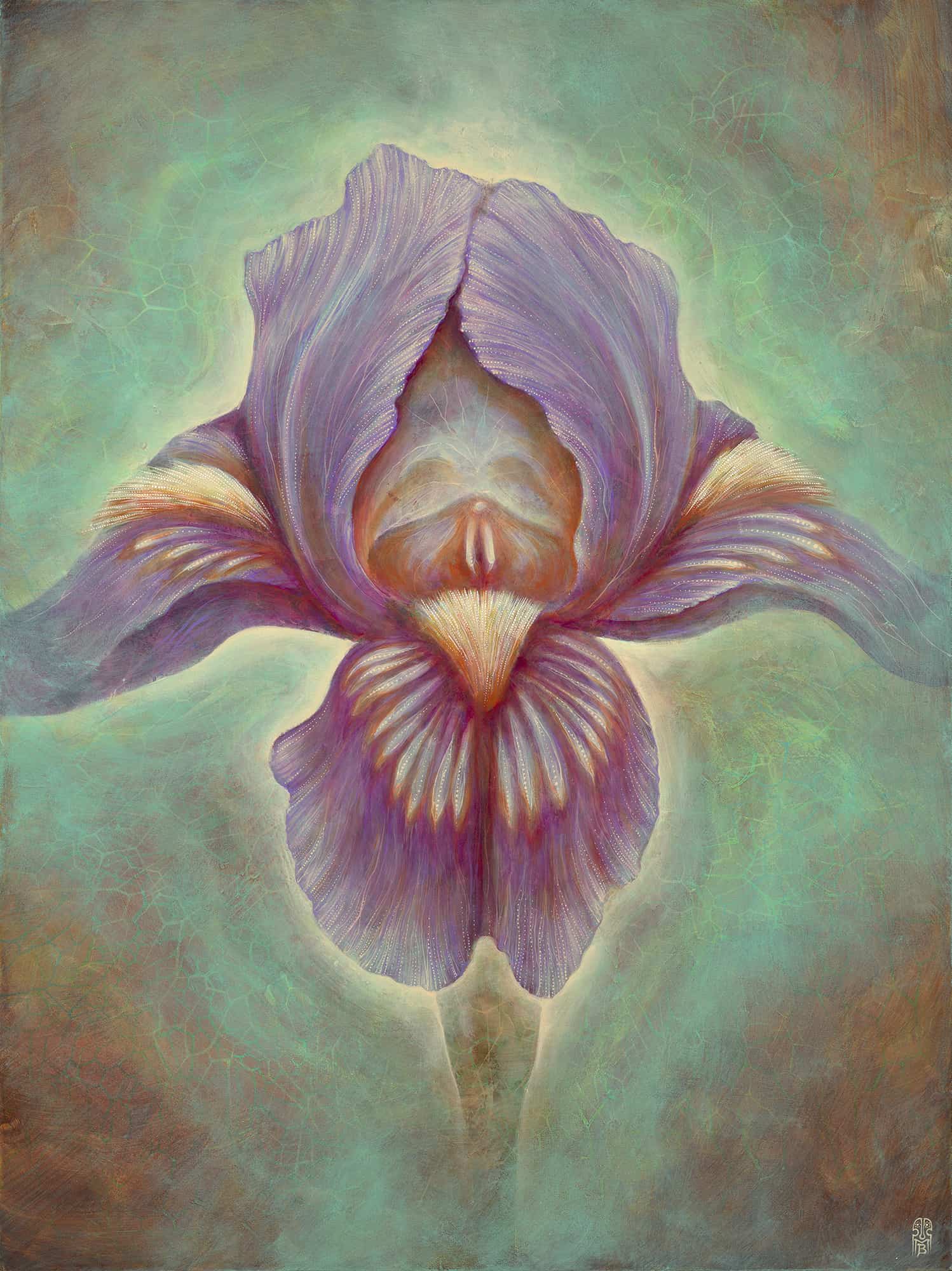 Iris • The Bridge Brothers