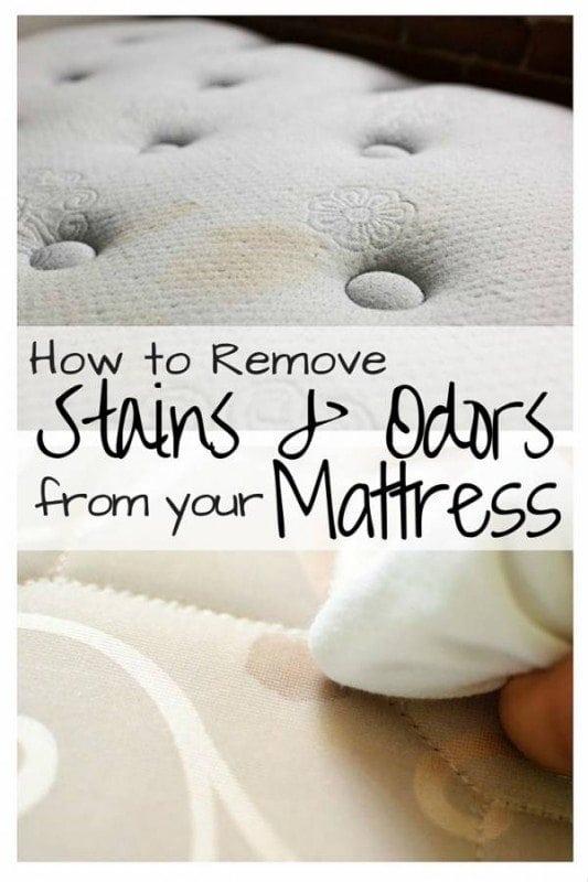 How to Remove Stains and Odors from your Mattress The Budget Diet