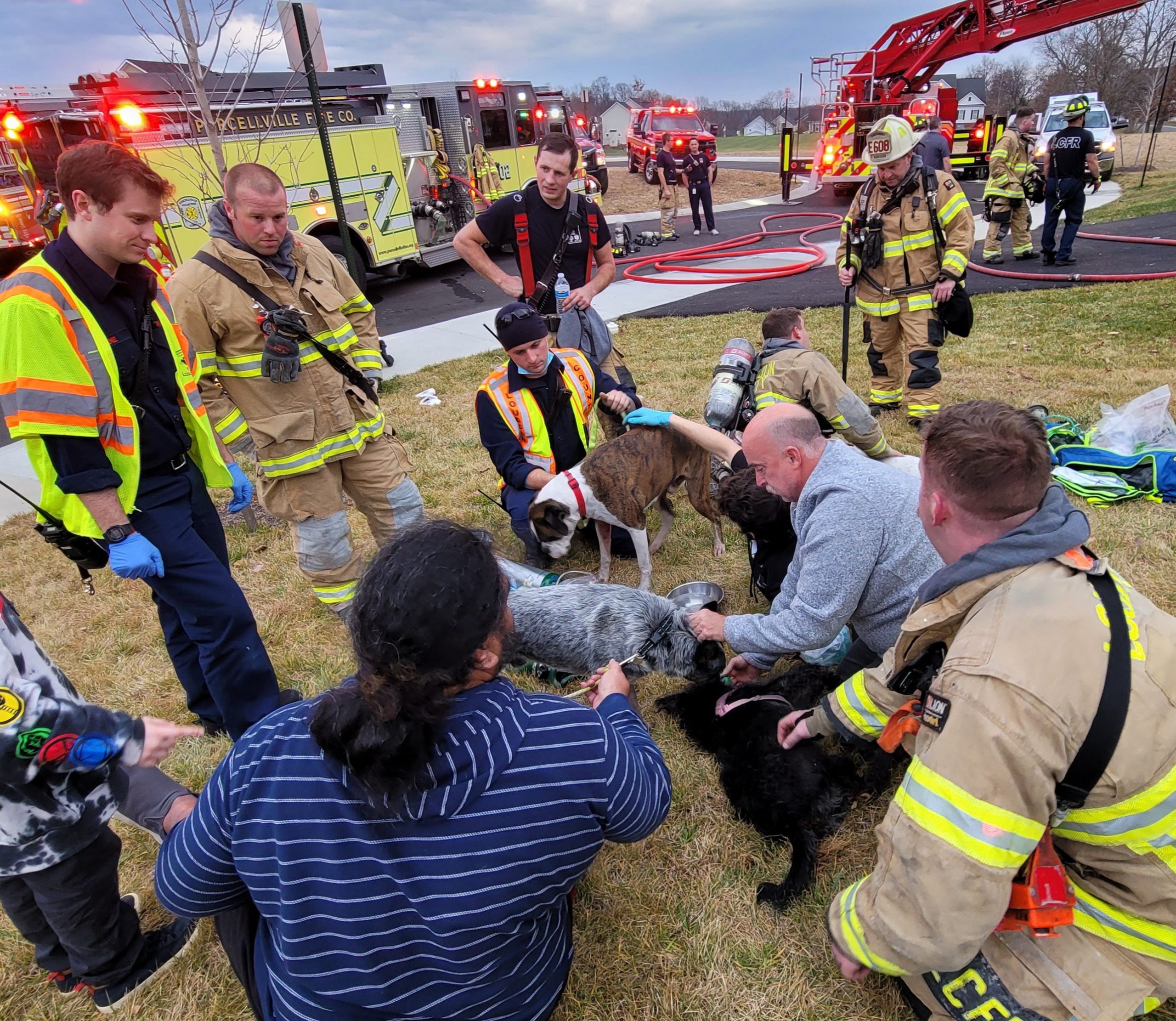 Four dogs rescued from Purcellville house fire The Burn