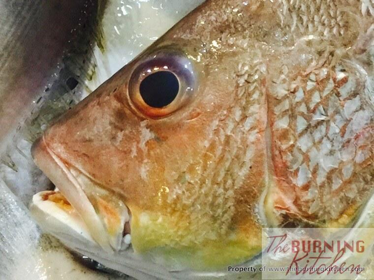 The 10 Things You MUST Know About Choosing the Freshest Fish The