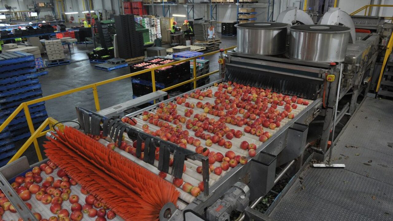 Some prominent examples of agroprocessing products Agric4Profits