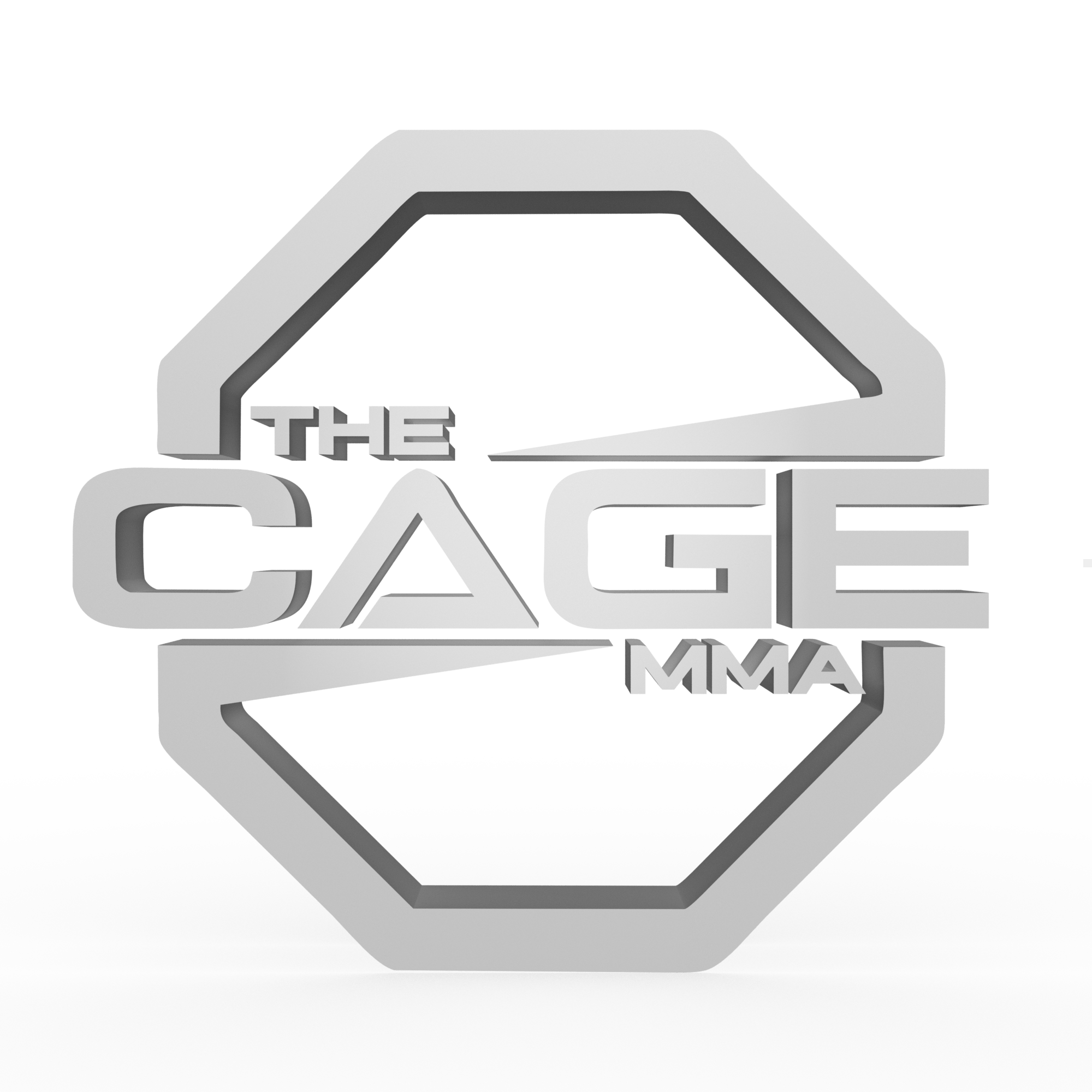 THE CAGE MMA
