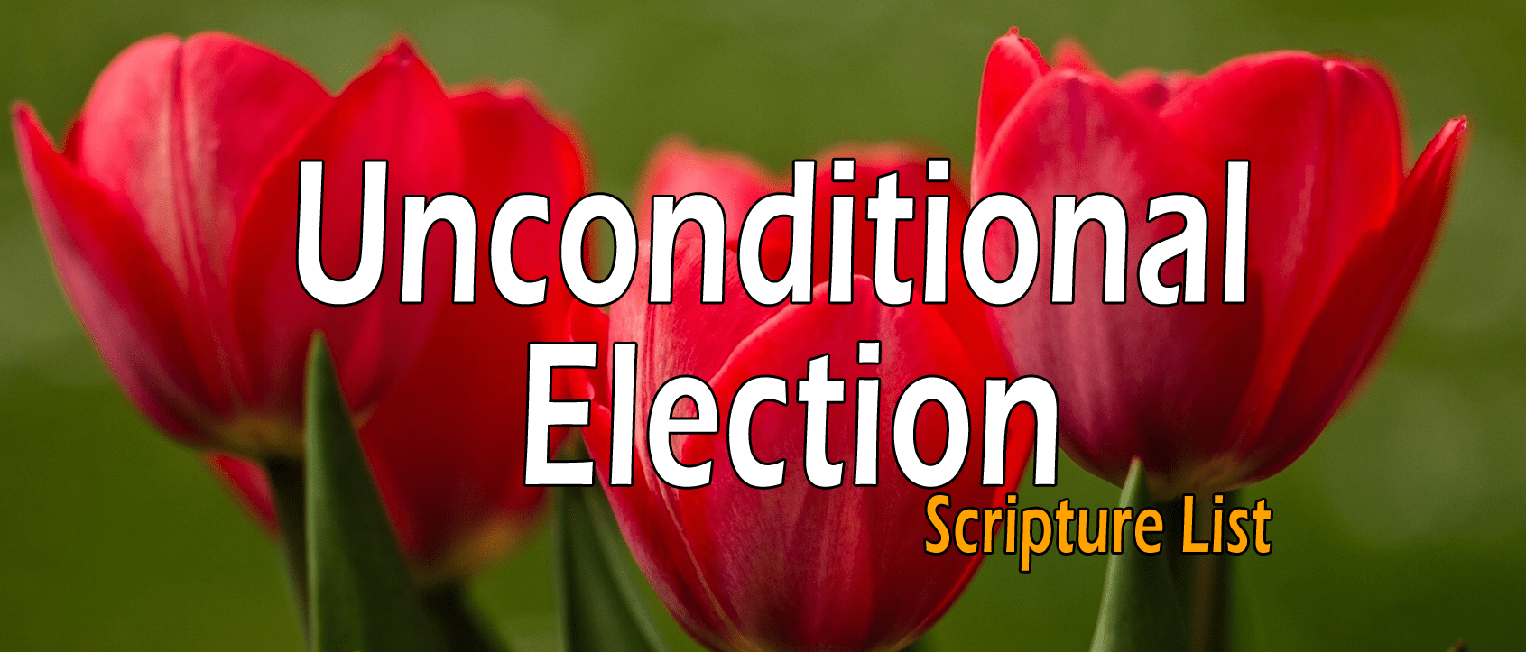 Unconditional Election, Sovereign Grace Scripture List The Staunch