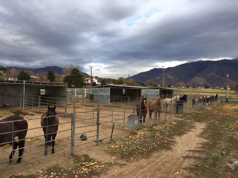 Gallery The Campbell Farm