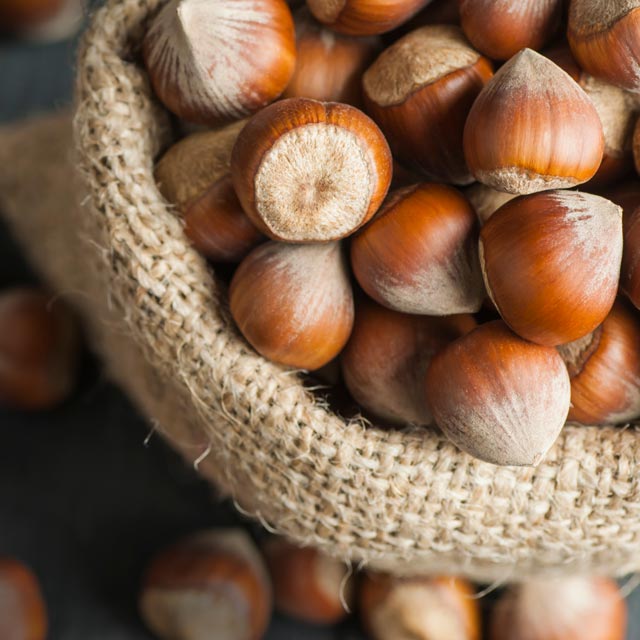 Hazelnut Reed Diffuser The Candle Lab