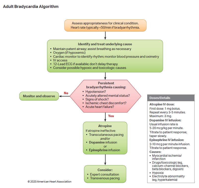 The CARE Course Home ACLS Bradycardia Algorithm 2020