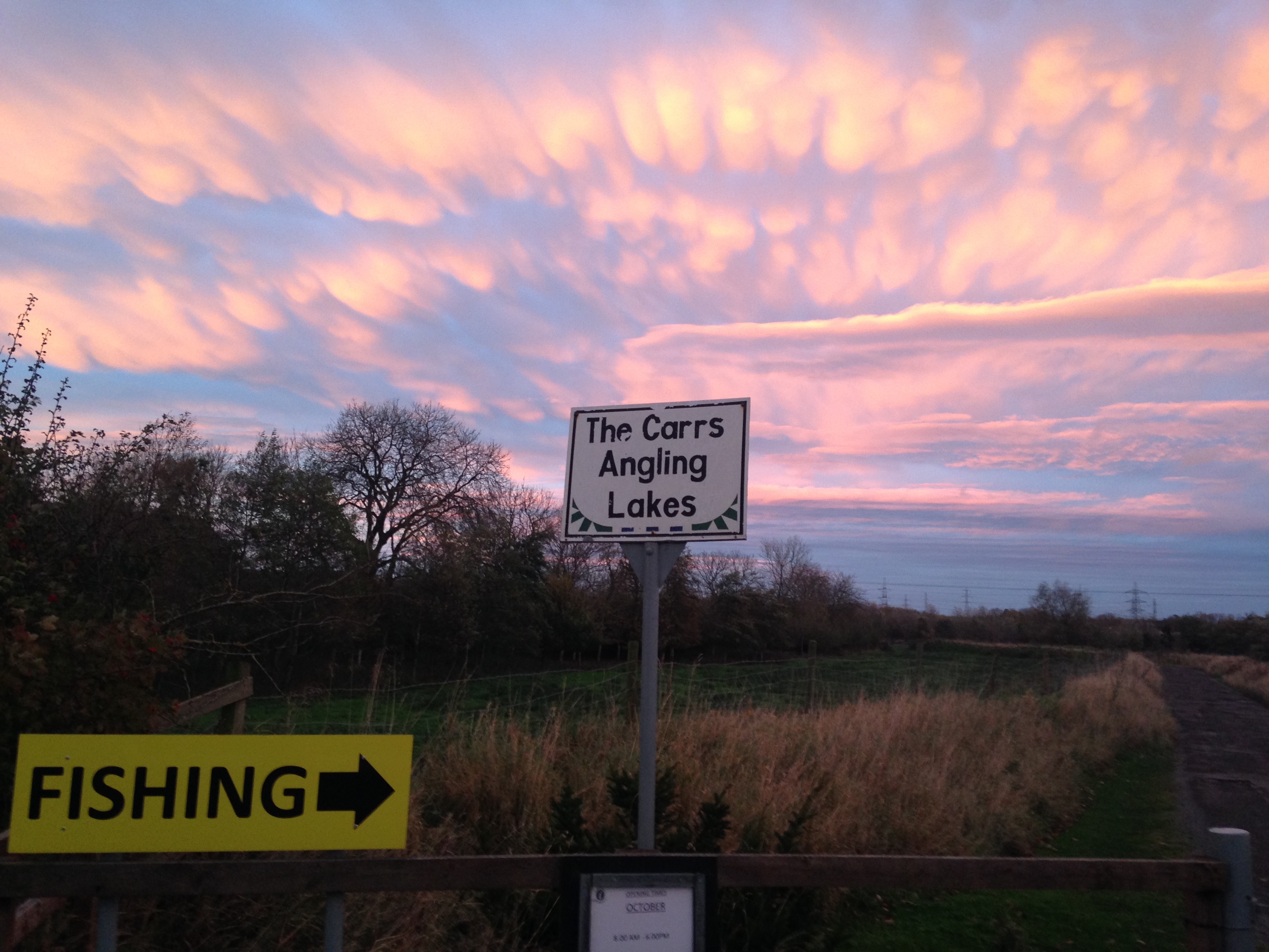 Gallery The Carrs Angling Lakes