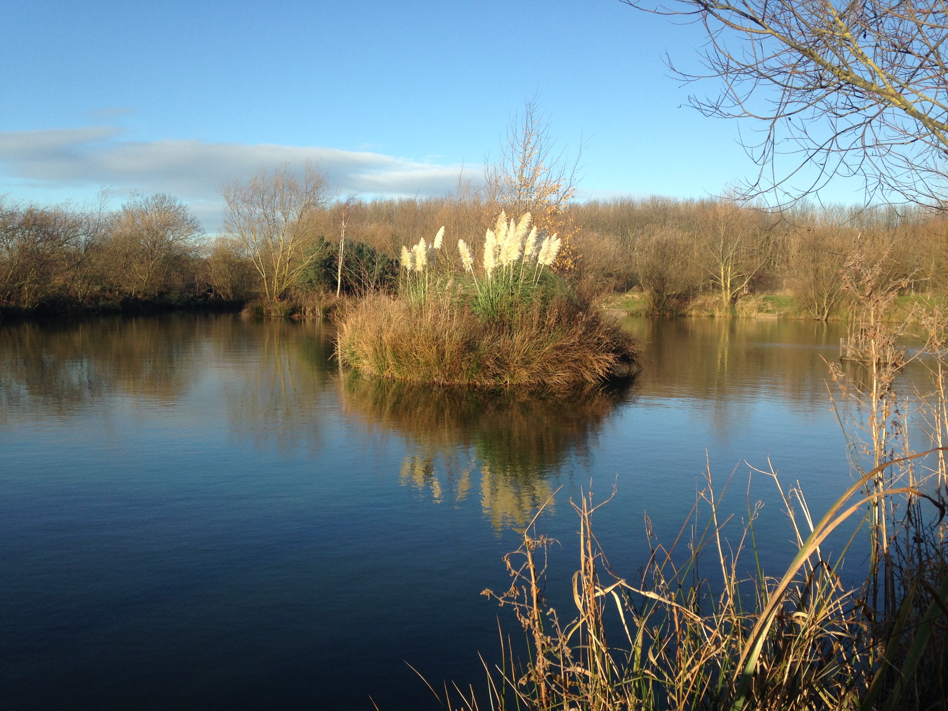 The Carrs Angling Lakes The Carrs Angling Lakes
