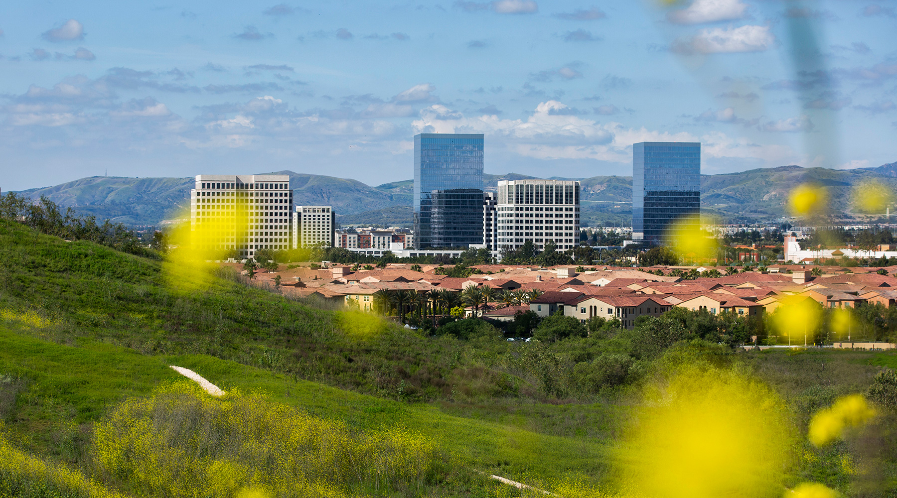 Affordable Housing The Cartwright