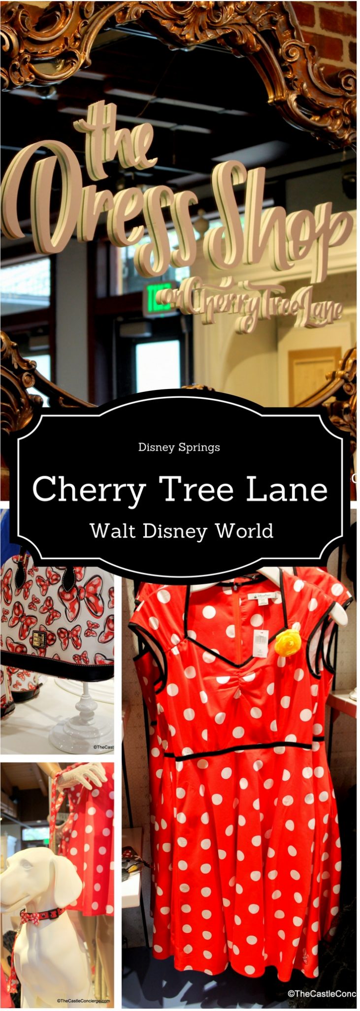 Walt Disney World Shop Remembering Cherry Tree Lane in Disney Springs