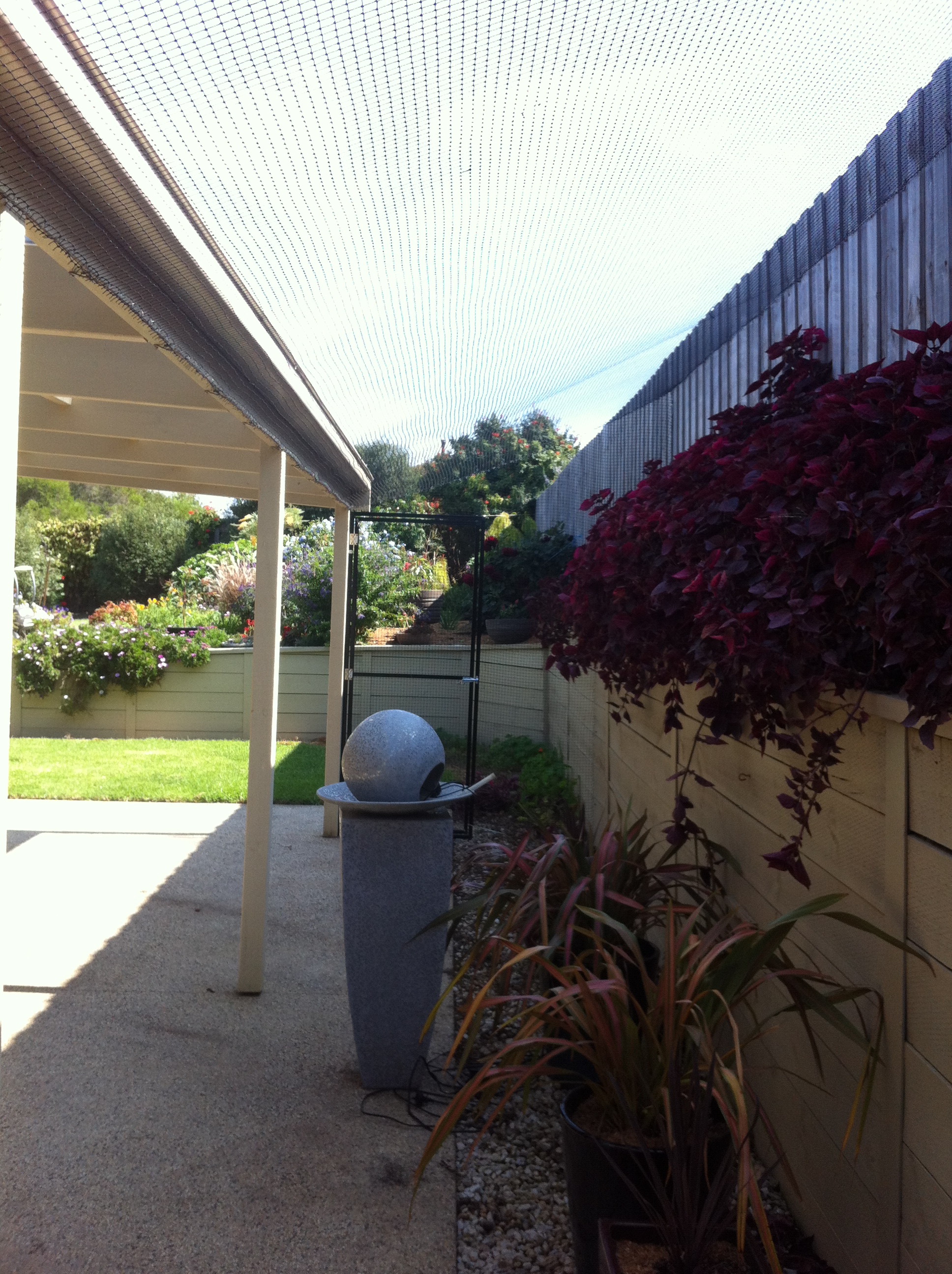 Cat Enclosures and InstallersMelbourne Cat Netting Cost MelbourneCat