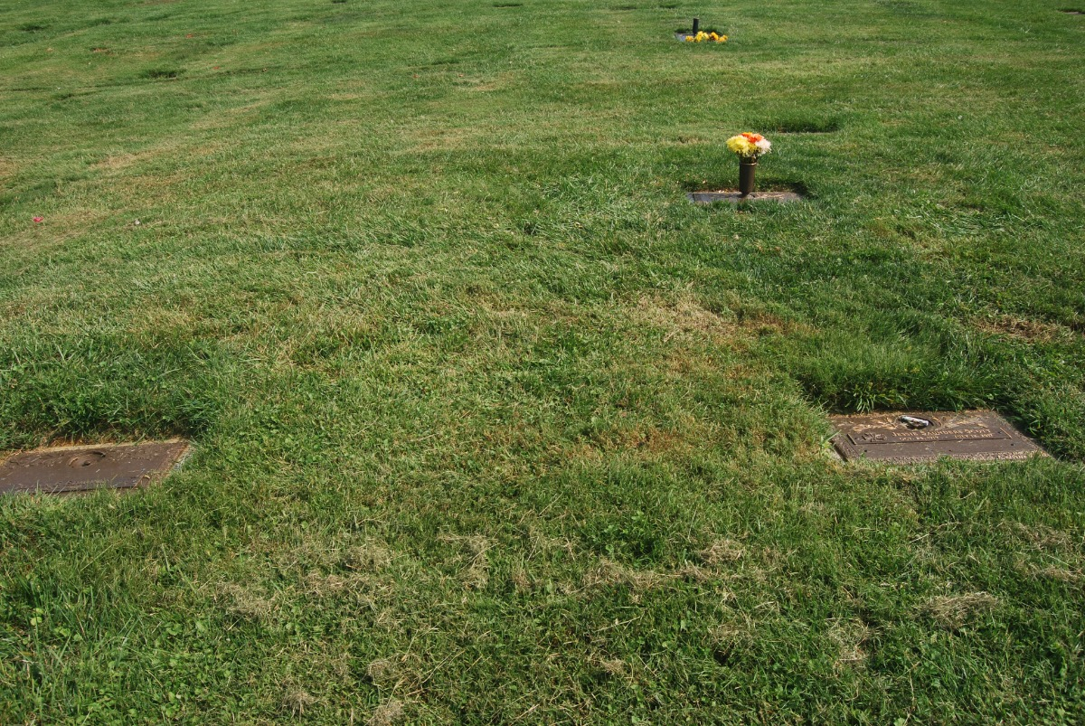 DD Companion Lawn Crypt for Sale 8K! Parklawn Memorial Park Rockville