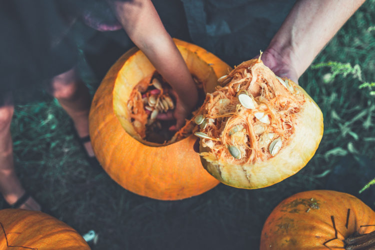6 Hand Safety Tips For Pumpkin Carving The Center Oregon