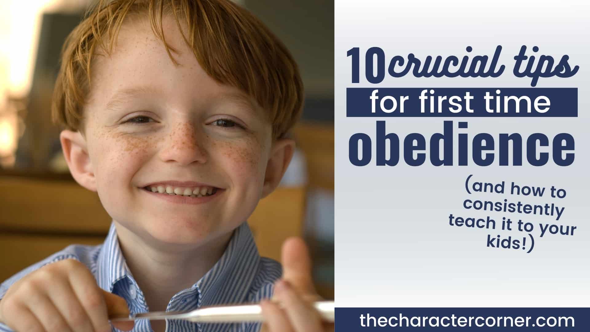 10 Crucial Tips For First Time Obedience - The Character Corner