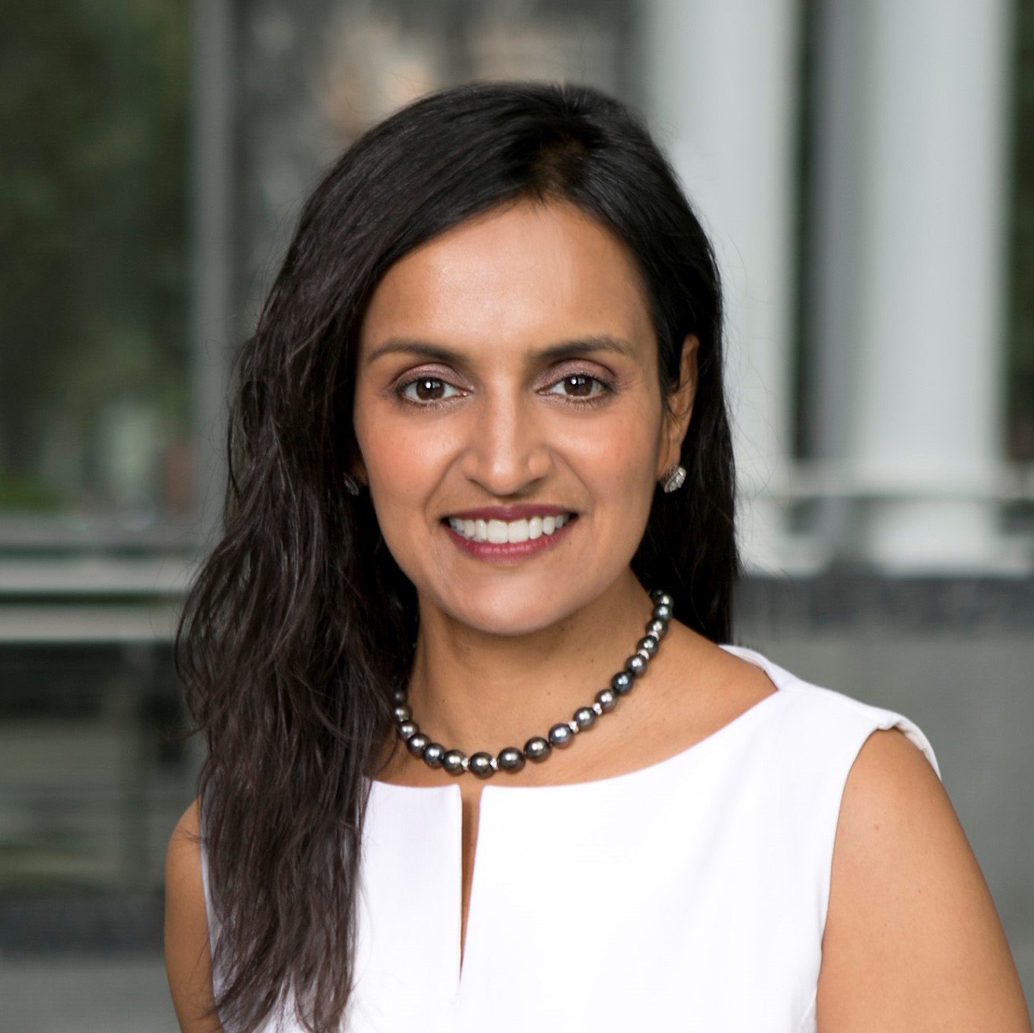 Smita Shah The Chicago Network