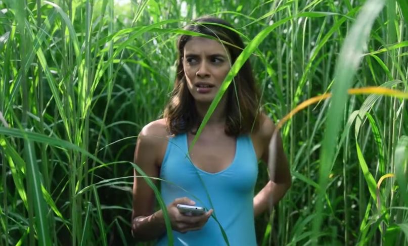 It's adapted from a novella by stephen king and his son joe hill. In The Tall Grass Review: A Weak Stephen King Adaptation